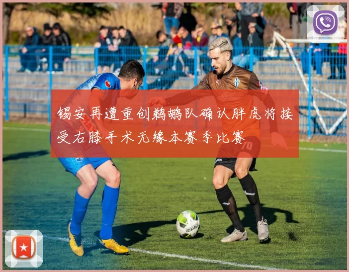 锡安再遭重创鹈鹕队确认胖虎将接受右膝手术无缘本赛季比赛